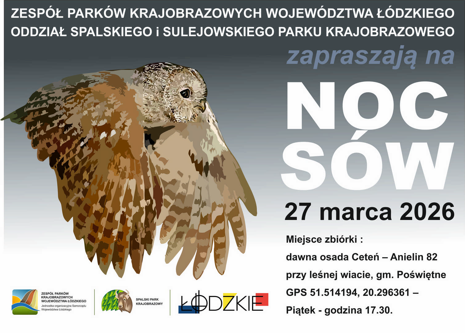noc sow plakaciki