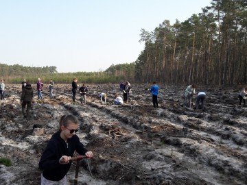 Sadzenie lasu w Nadleśnictwie Radziwiłłów, B.Łukasik