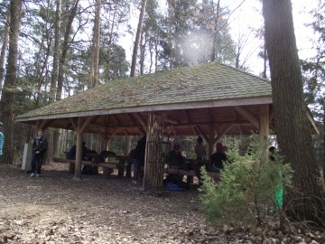 Sadzenie lasu w Nadleśnictwie Radziwiłłów, B.Łukasik