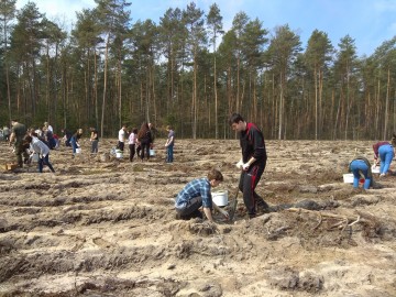 Sadzenie lasu w Nadleśnictwie Skierniewice, A.Pruszkowska