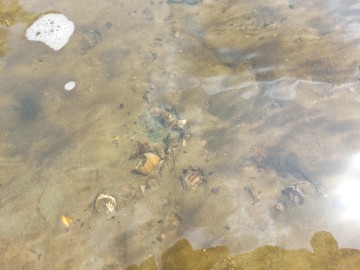 Wiosenne Sprzątanie Rawki 2025 - relacja, 