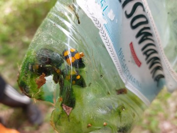 Wiosenne Sprzątanie Rawki 2025 - relacja, 