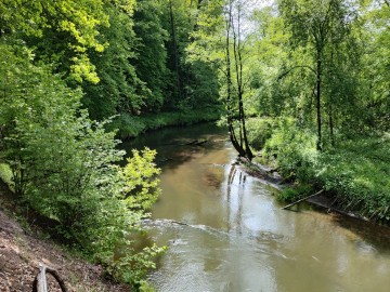 Wiosenne Sprzątanie Rawki 2025 - relacja, 