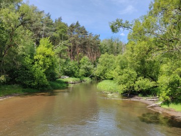 Wiosenne Sprzątanie Rawki 2025 - relacja, 