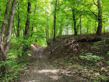 Wiosenne Sprzątanie Rawki 2025 - relacja, 