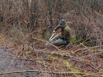 Czynna ochrona mieczyka dachówkowatego i kosaćca syberyjskiego w Spalskim Parku Krajobrazowym, 