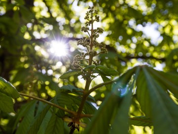 Rajd rowerowy „Śladami Oddziału majora Hubala” – 2025, 