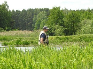 Rybitwy nad Zalewem Sulejowskim, 