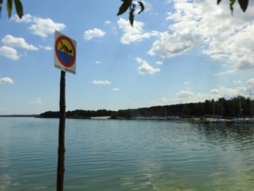 Zakaz kąpieli na Zbiorniku Sulejowskim, 