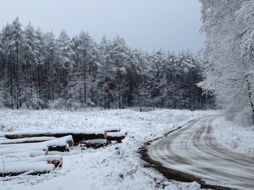 Zimowe pejzaże z Przedborskiego Parku Krajobrazowego., 