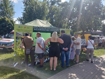 Piknik Wojewódzki w Łodzi nad Stawami Jana, 