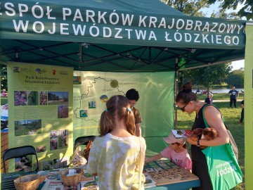 Piknik Wojewódzki w Łodzi nad Stawami Jana, 