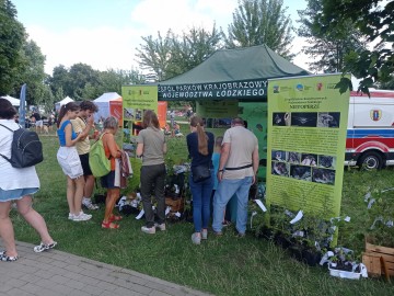 Piknik Wojewódzki w Łodzi nad Stawami Jana, 