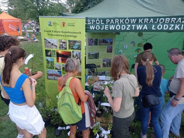 Piknik Wojewódzki w Łodzi nad Stawami Jana, 