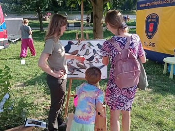 Piknik Wojewódzki w Łodzi nad Stawami Jana, 