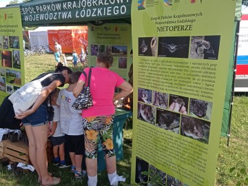 Piknik Wojewódzki w Łodzi nad Stawami Jana, 