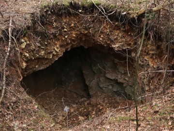 II liczenie nietoperzy w ZPK, <p>jaskinia Buki</p>
