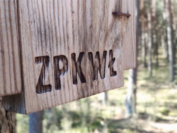 Czyszczenie budek lęgowych w naszych parkach, 