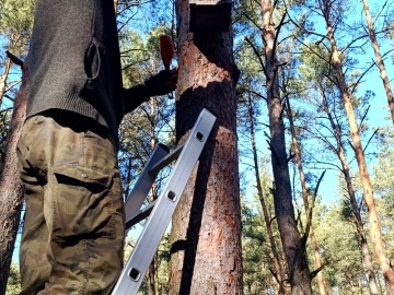 Czyszczenie budek lęgowych w naszych parkach, 