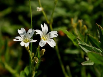 Rajd Rowerem nad Wartą – wiosna 2025, 