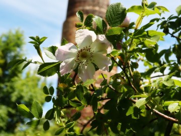 Rajd Rowerem nad Wartą – wiosna 2025, 