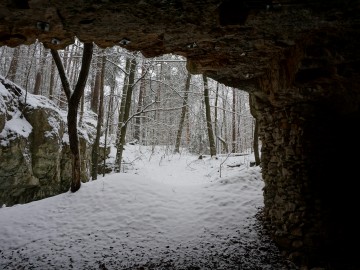 Zimowy monitoring nietoperzy w Załęczańskim Parku Krajobrazowym, K. Gara